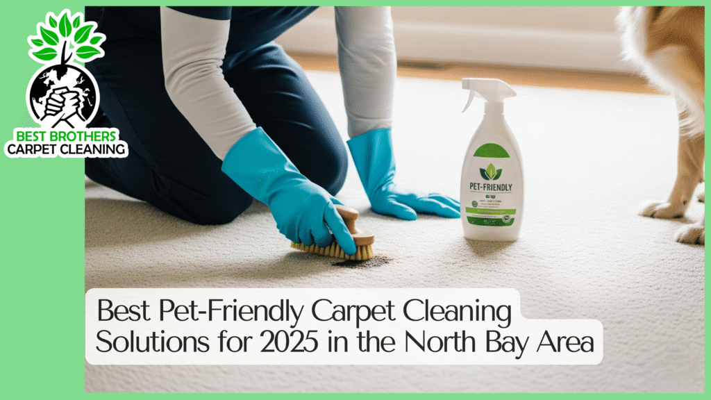 Pet Friendly Carpet Cleaning scaled