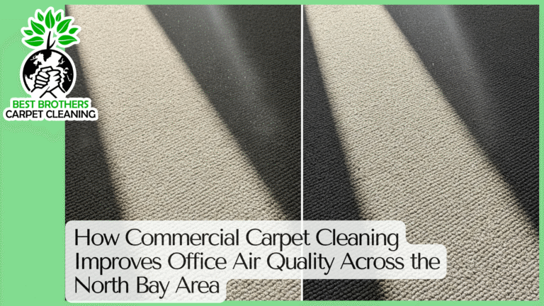 Commercial Carpet Cleaning Improves Office Air Quality
