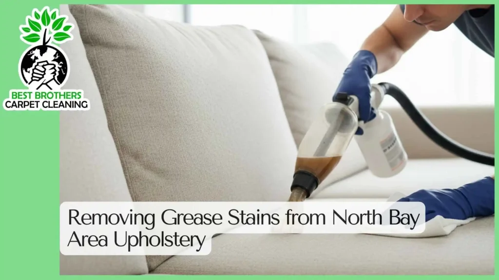 Removing Grease Stains from North Bay Area Upholstery