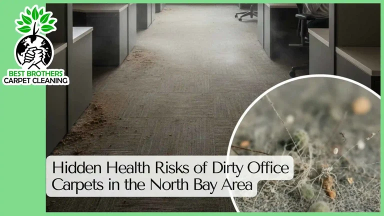 Hidden Health Risks of Dirty Office Carpets in the North Bay Area