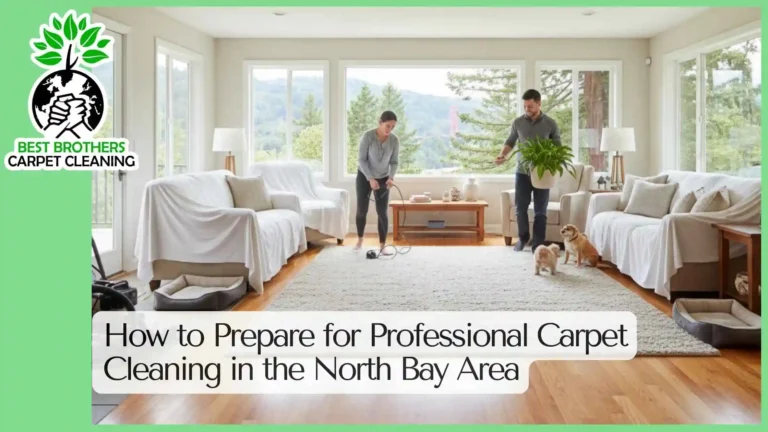 How to Prepare for Professional Carpet Cleaning in the North Bay Area