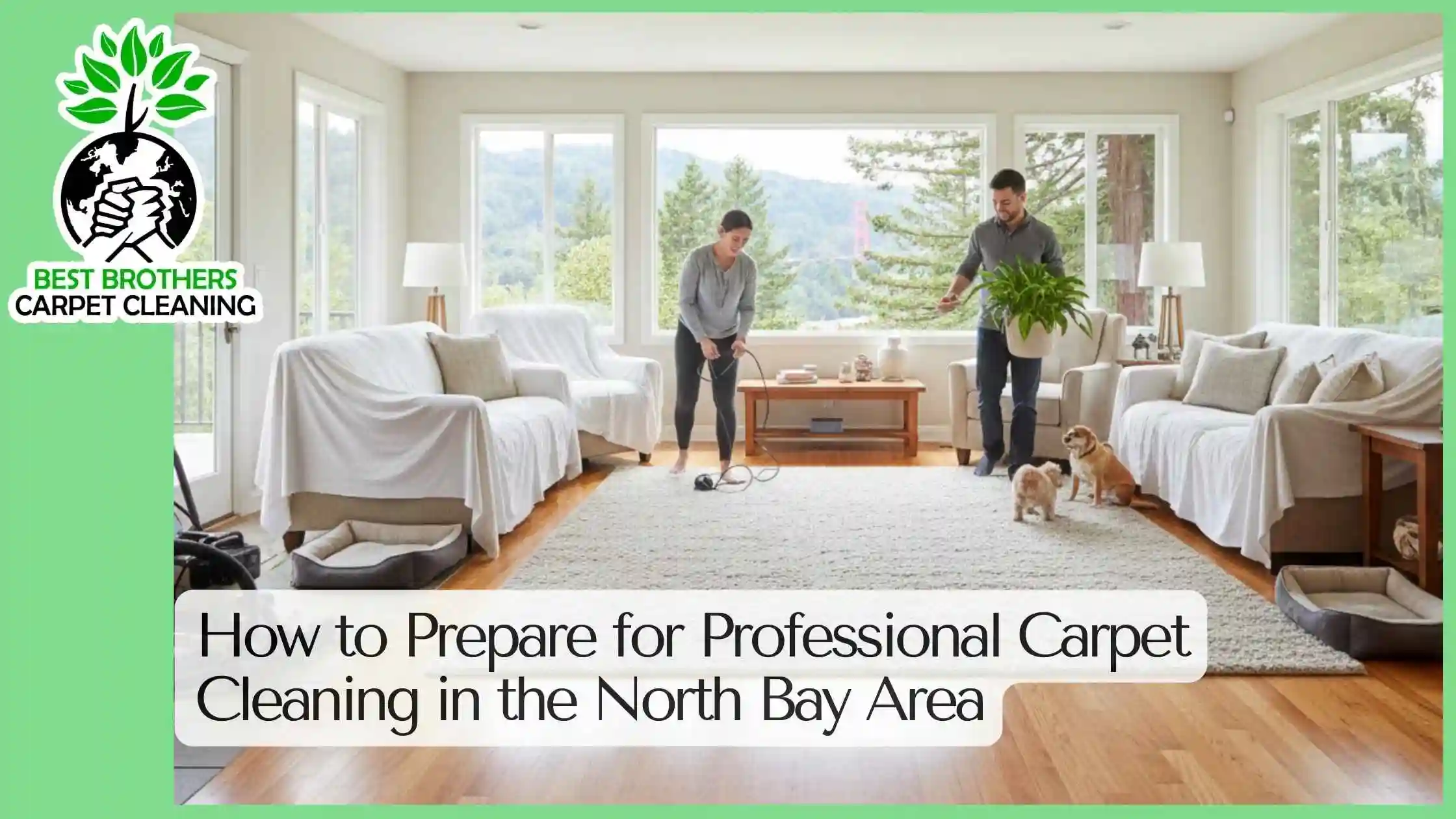 How to Prepare for Professional Carpet Cleaning in the North Bay Area
