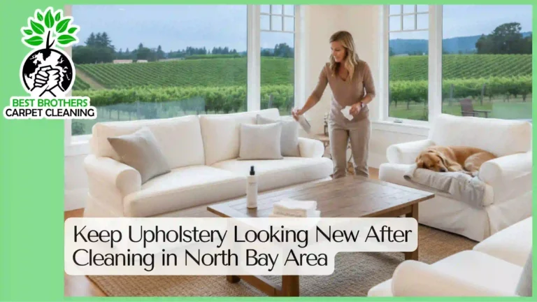 Keep Upholstery Looking New After Cleaning in North Bay Area