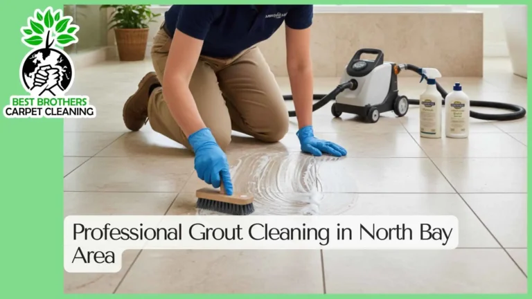 Professional Grout Cleaning in North Bay Area