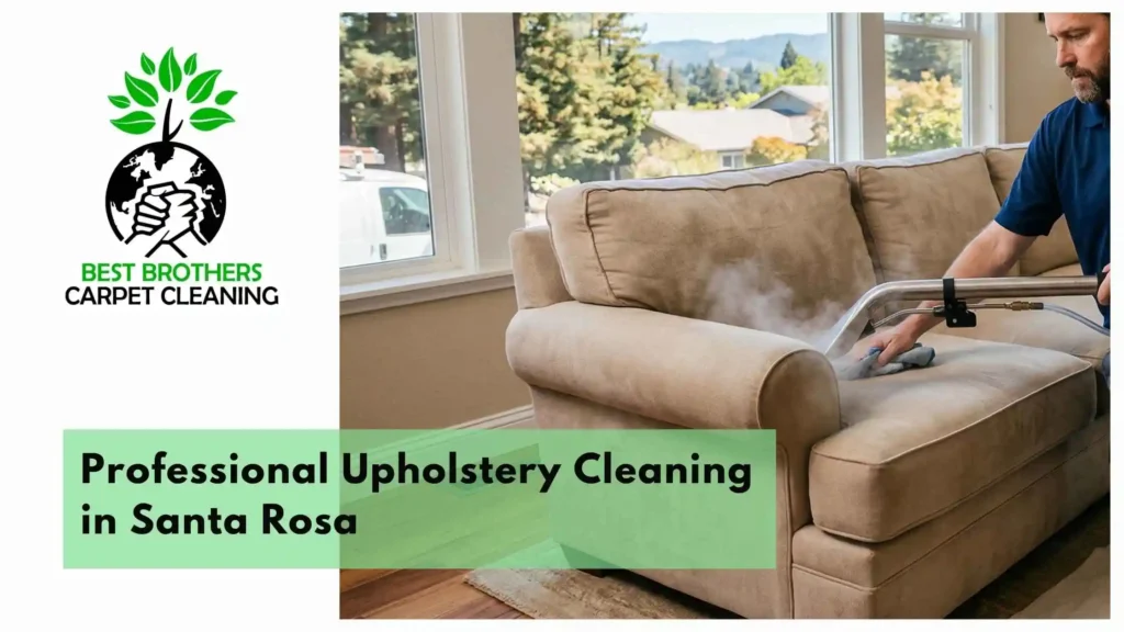 Professional Upholstery Cleaning in Santa Rosa
