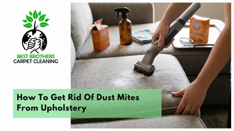 How To Get Rid Of Dust Mites From Upholstery